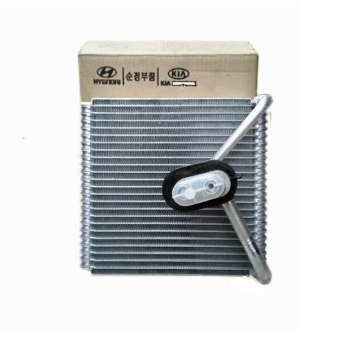 Dan lanh kia morning.JPG